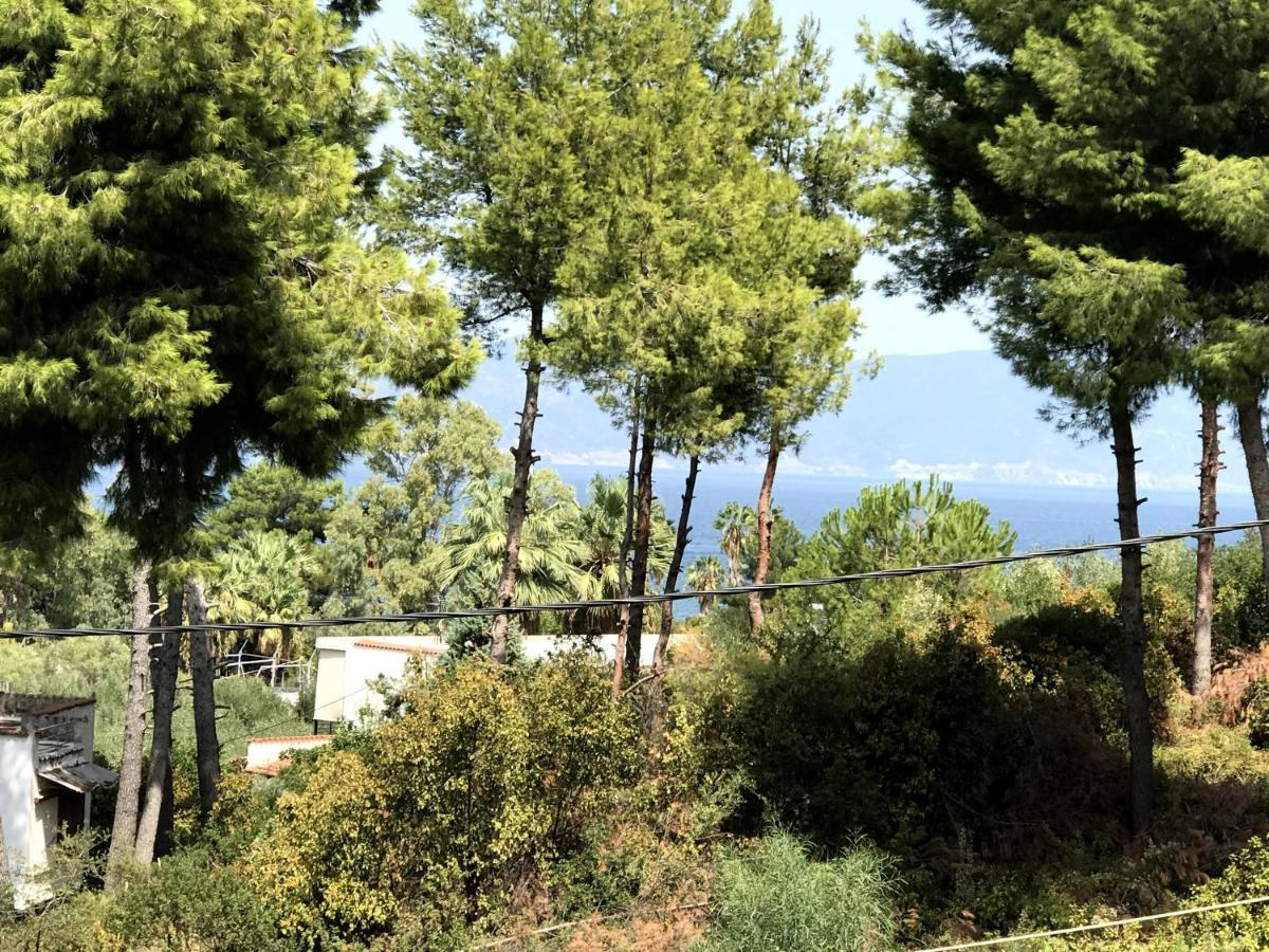 Studio Kalypso Arkitsa Exterior photo
